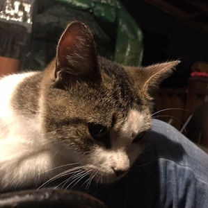 Meet your Posher, Marilyn